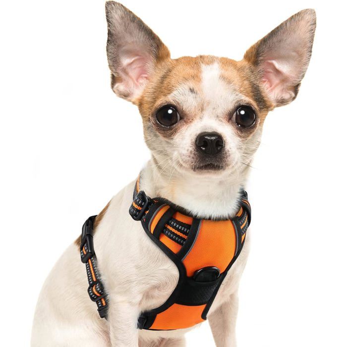 Meilleurs prix pour Harnais ChienHarnais Anti Traction Réfléchissant pour Petit Chien RéglableFacile à MettreArnet pour Chien pour Randonnée Trajet