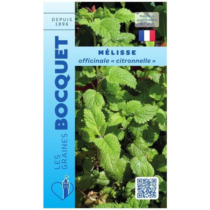 Graine - Semence - M&eacute;lisse Officinale &laquo; Citronnelle &raquo;