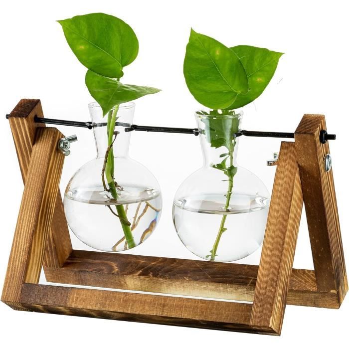 3 Vases Hydroponiques En Verre Avec Support Bois – Pour Bouturage Sans Terre – Décoration Maison Et Bureau – Élégant Et Naturel