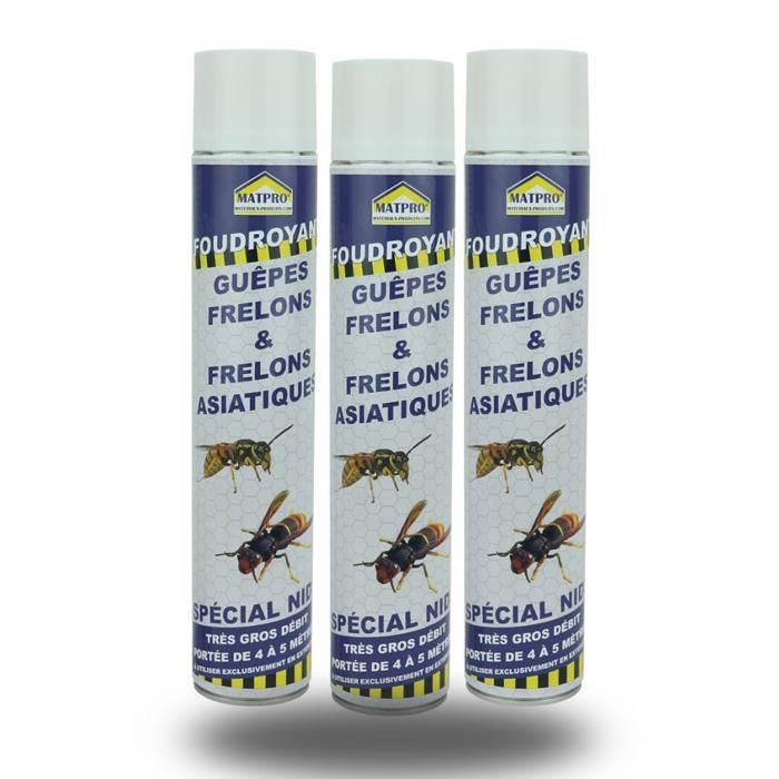 FURY - Mousse Insecticide Pour Nids De Guêpes Et Frelons - Action Foudroyante Jusqu'à 6 M - Élimine Frelons Asiatiques - 500 Ml - Fabriqué En France