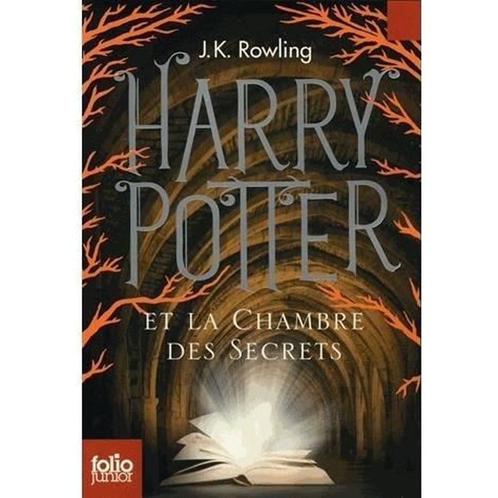 Harry Potter et la Chambre des Secrets : Deux Harry Potter