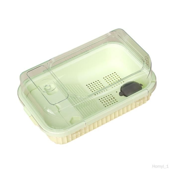 Aquarium/habitat Pour Tortues En PP - Dimensions 34x19x20cm, Vert, Pour Reptiles