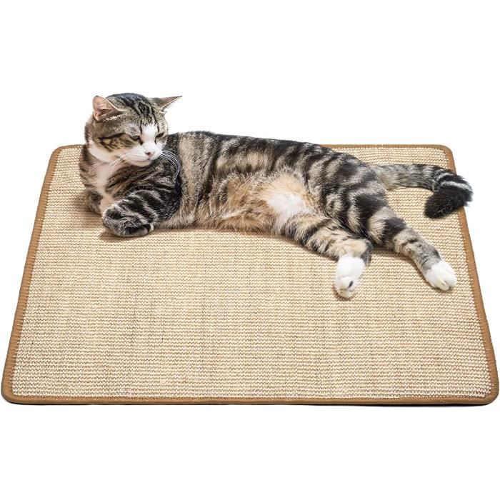 Tapis Griffoir Chat En Sisal 60x50 Cm - Antidérapant, Durable - Pour Protéger Canapé Et Meubles
