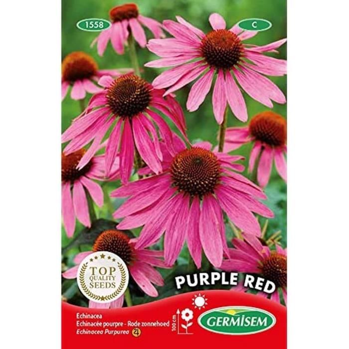 q102]Germisem Graines Soleil Beauté D'Automne Autumn Beauty
