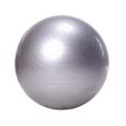 Ballon  de gym 65 cm avec Pompe - Ball Ballon Fitness Ballon de gymnastique/grossesse Balle de Balance-2