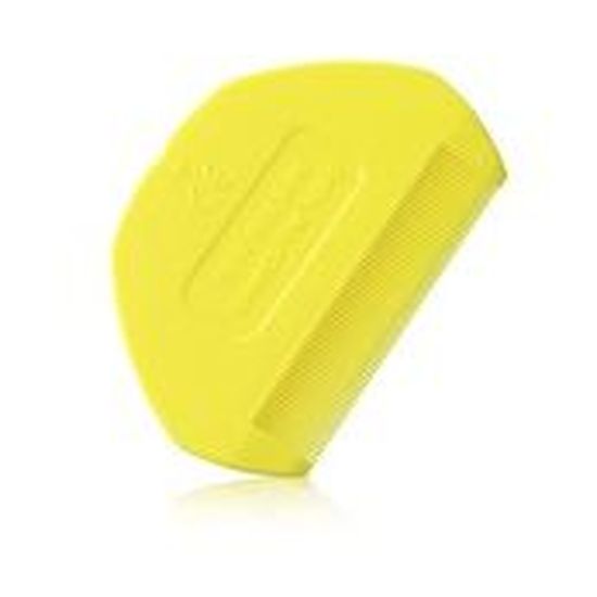 poux bugs taille réelle