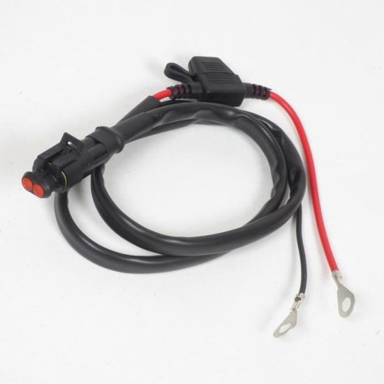 Chargeur Batterie Universel 12V Pour Voiture Et Moto Enfant - Indicateur LED Rouge/Vert - Câble Charge Prise Carrée