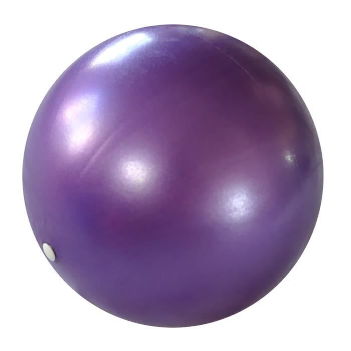 2x Ballon D'exercice Professionnel Yoga Fitness Gym Balls Body Stress Relief