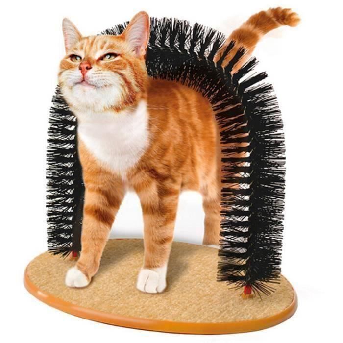 griffoir chats peigne chat brosse jouets chat pour chaton Y539 M0C5D0