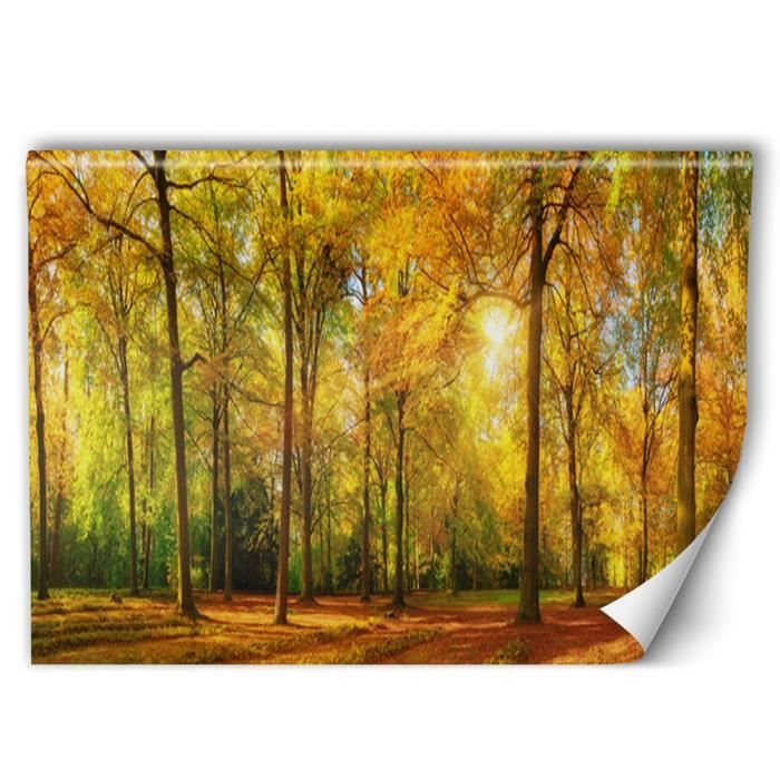 Feeby Papier peint intissé automne Poster mural Colle fournie orange 400x266 cm