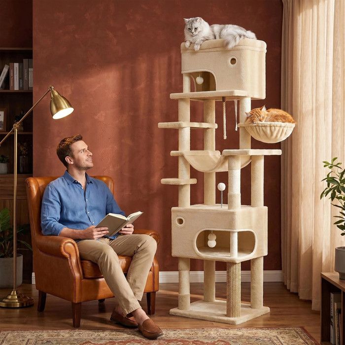 Château double pour chat beige 205 5 cm. 2 niches privatives grande plateforme d’observation hamac transat