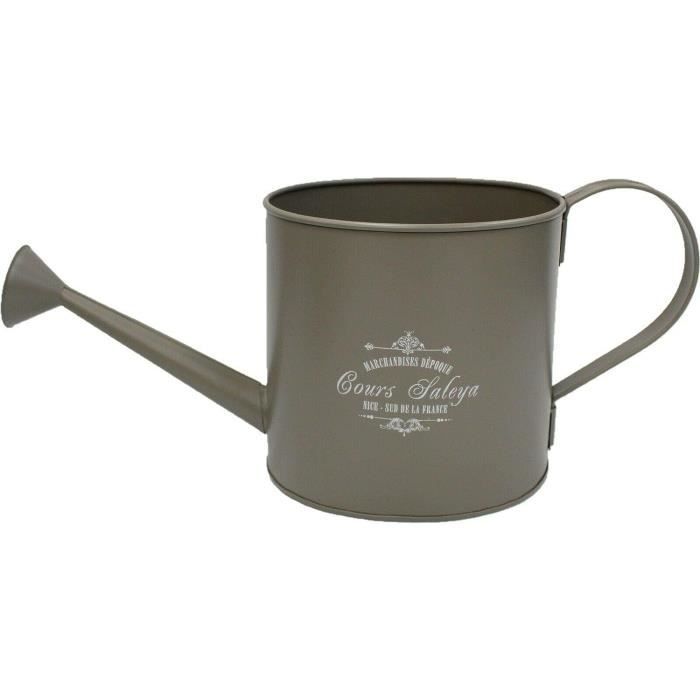 Arrosoir En Métal 4 Litres Avec Bec Amovible - Design Rustique, Poignée Ergonomique, Pour Jardin Intérieur/extérieur - 10
