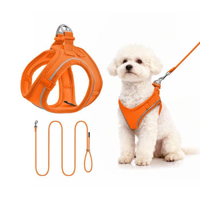 Qianruida Harnais Réglable pour Chiot De Laisse, Harnais
