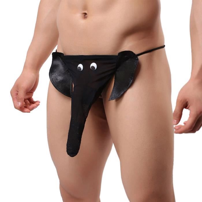 string homme animaux