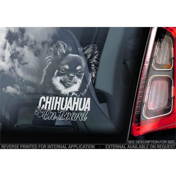 https://www.cdiscount.com/pdt2/0/3/6/1/700x700/auc3094861561036/rw/chihuahua-autocollant-voiture-chien-signe-fene.jpg