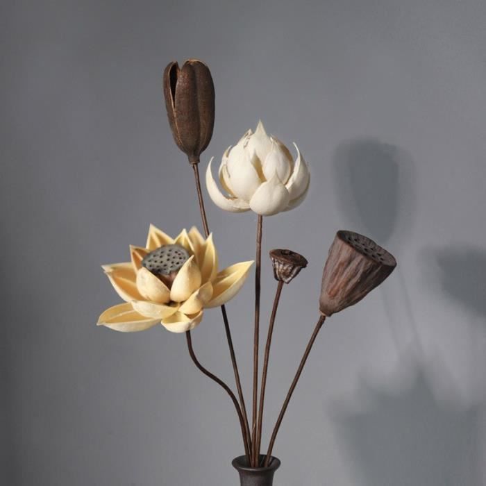 Fleur de Lotus naturelle séchée et pressée, branche de fleur de lys  d,,39,eau décorative faite à la main, déco JH16545 - Cdiscount Maison