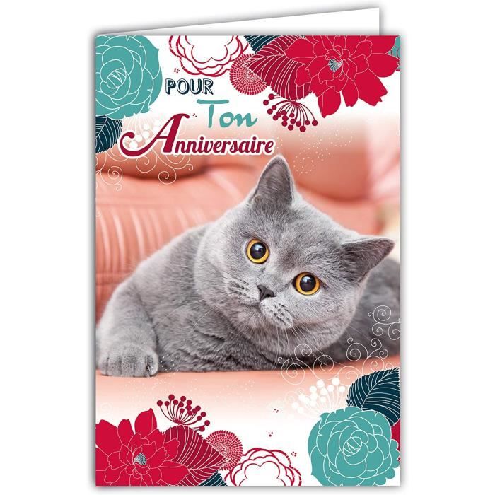 Afie Carte Pour Ton Anniversaire Chat Gris Doux Fleurs Bleues Rouges Roses Fabrique En France 49 Cdiscount Beaux Arts Et Loisirs Creatifs