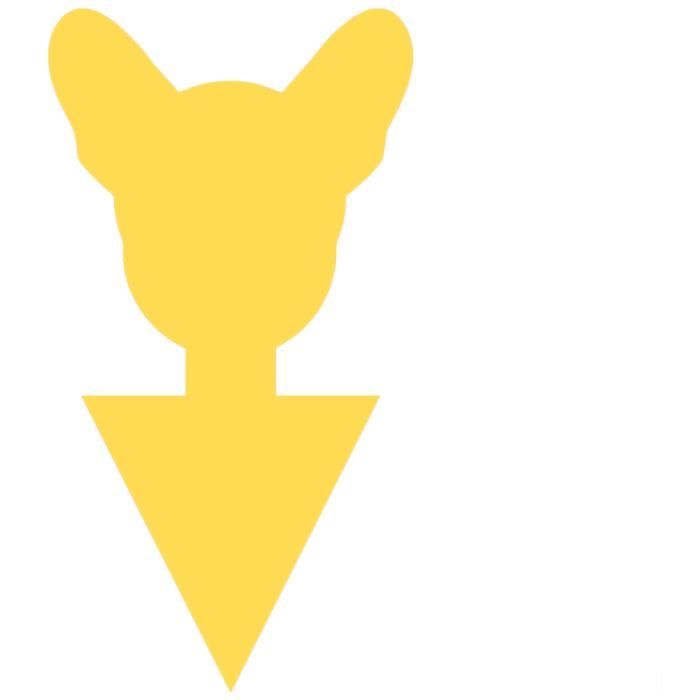 Boîte à crochets à mouches double face pour préservation et