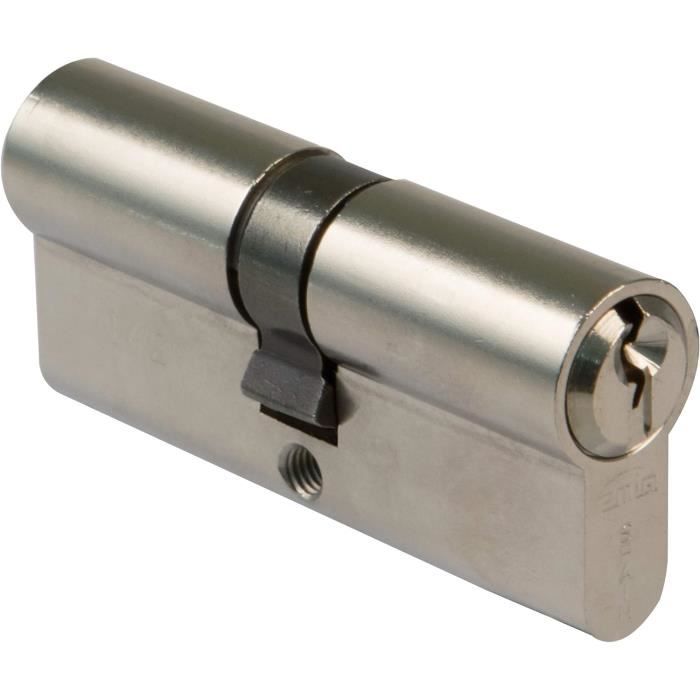 Cylindre De Serrure Profilé 30/30 - Longueur 60 Mm - Avec 2 Clés Identiques - Neuf Messing