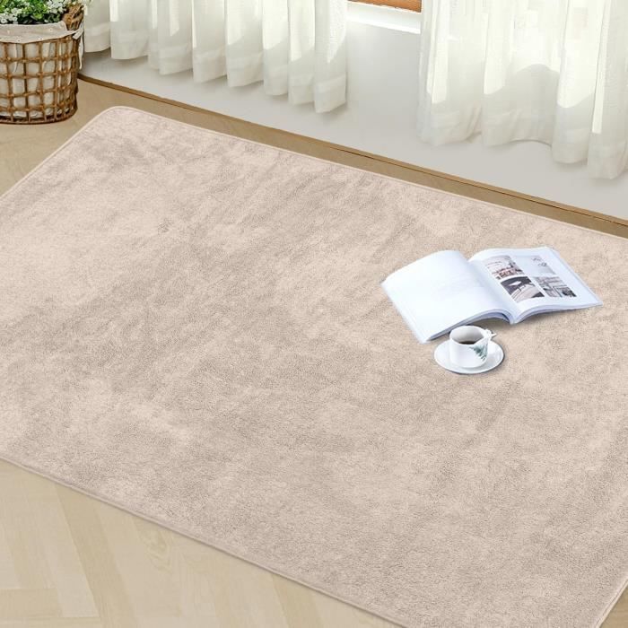 YYHWHJDE Tapis De Sol Antidérapant Et épais Pour Salle De Bain, Chambre à Coucher, Tapis De Sol Lavable 40,6 X 61 Cm