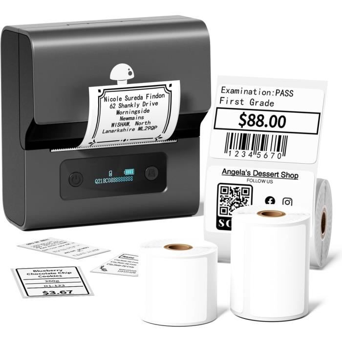 Phomemo M221 Imprimante D'Étiquettes Bluetooth Portable - Étiqueteuse Thermique Avec 3 Rouleaux Pour Maison Et Bureau (Gris)
