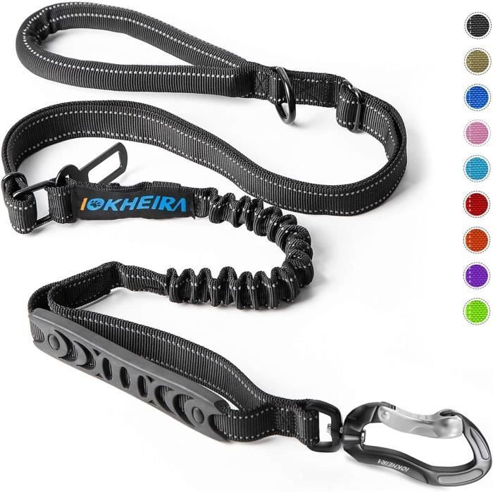 Longe Élastique Pour Chien 120-140 Cm - Amortisseur Anti-Traction Avec Poignée Rembourrée - 2
