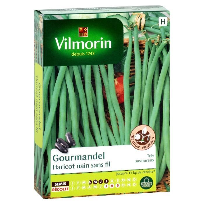 Vilmorin Haricot Talisman Boite 140g, Vert & Pois Precovil Création Sachet Série 5m, Vert