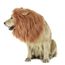 Docteur C9gyw Lion Criniere Perruque Pour Chien Et Chat Costume Avec Oreilles Animal Reglable Confortable Fantaisie Lion Cheveux Chi Achat Vente Docteur Veterinaire Cdiscount Docteur C9gyw Lion Criniere Perruque Pour Chien Et Chat Costume Avec Oreilles Animal Reglable Confortable Fantaisie Lion Cheveux Chi Achat Vente Docteur Veterinaire Cdiscount