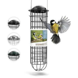 pour Petits Oiseaux pour Boules De Graisse pour Boulettes BEAUTYBIGBANG 2021 Nouveau Mangeoires Distributeur De Nourriture pour Mangeoires À Oiseaux en Plein Air