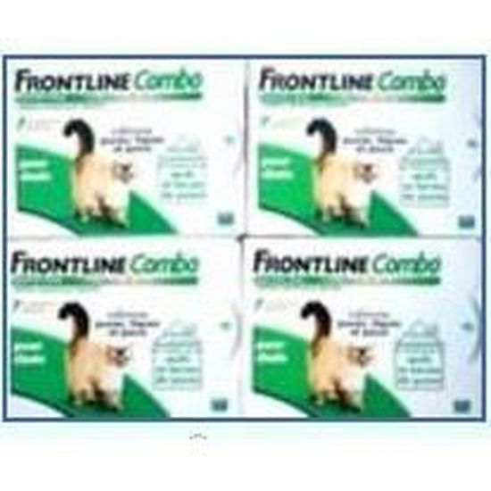 Frontline Combo Chat Par 12 Pipettes Cdiscount Animalerie