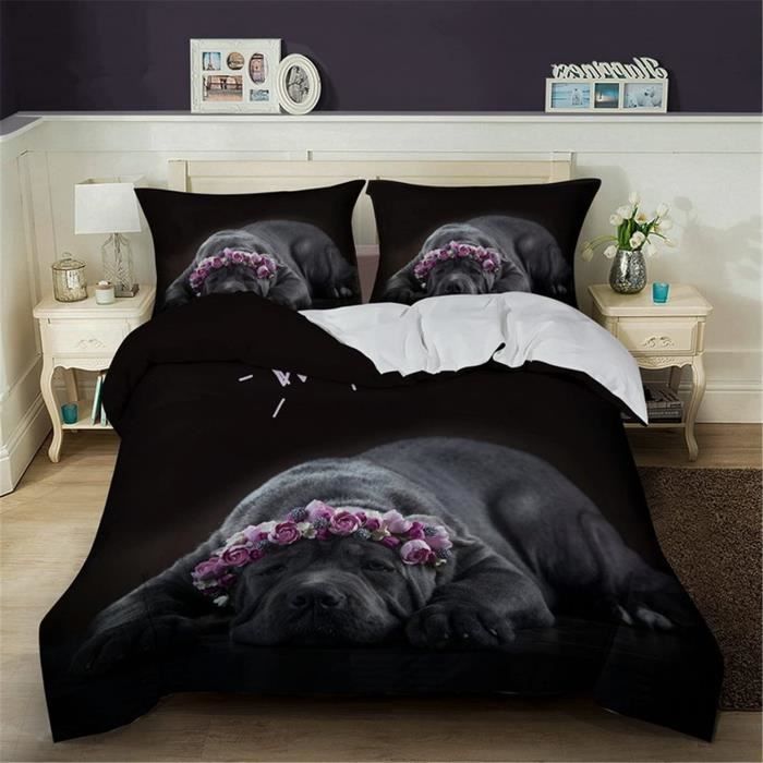 Chien Chat Gris