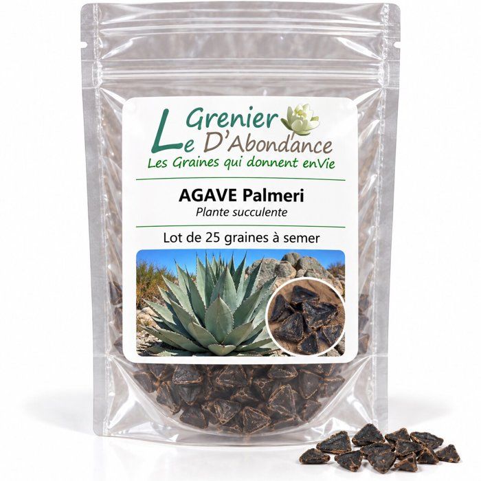 Graines D'Aloe Striata - Plante Succulente Sans épines, Feuilles Bleu-vert Bordées De Rose - Lot De 25 Graines