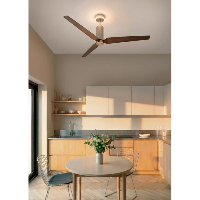 WIND FORMA Ventilateur de plafond silencieux 45 W Ø 152 cm avec éclairage dambiance