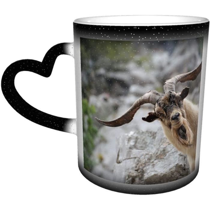 Mug Humoristique Avec Cornes De Chevre Et Cornes De Chevre Tasse Magique 330ml 436 Cdiscount Puericulture Eveil Bebe