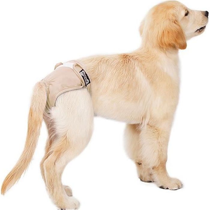 Comparer les prix de 3pcs Couches Chien Femelle Culottes Hygiénique Lavable Réutilisable souffrant d’incontinence Pipi Protection Prévenir Harcèlement L