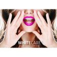 Stylo Blancheur Goût Menthe WHITE CARE ® | Stylo Blanchiment des Dents qui nettoie et blanchit les dents |Laboratoire WHITECARE® NF-1