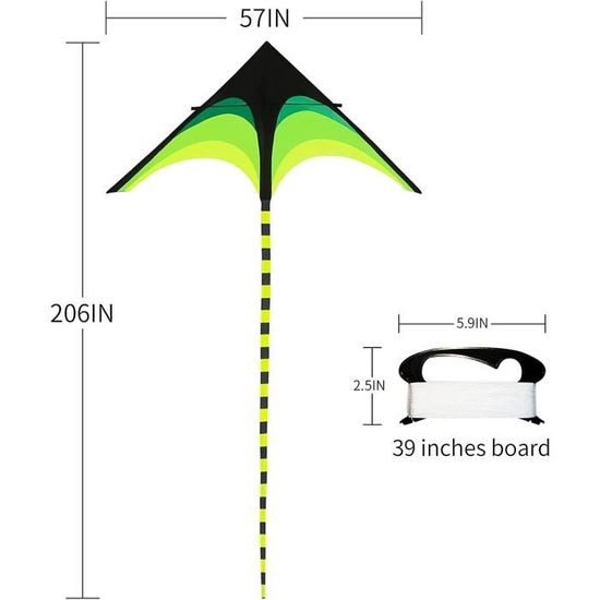 213394_3 213394_3