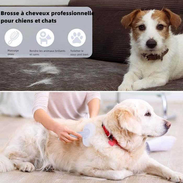 Brosse anti poils et peluches pour vêtements - ABC chiens