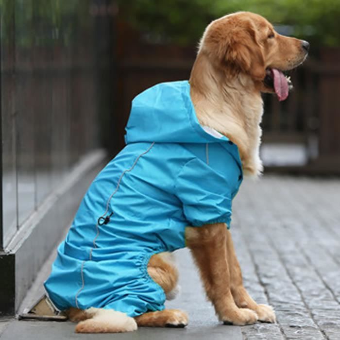 Impermeable golden retriever hotsell