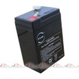 Batterie plomb AGM S 6V-4.5Ah 6V 4.5Ah T1-0
