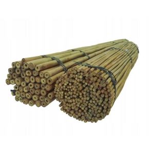 TUTEUR - LIEN - ATTACHE Tuteurs bambou - DIXIE STORE - 194cm x 16-18mm - S