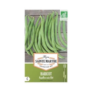 GRAINE - SEMENCE Graines bio de haricots nains verts Aiguillon