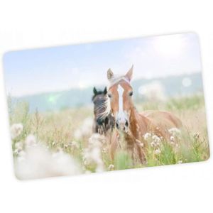 Lavable. Sous-main de bureau en vinyle solide pour enfants Lavable. Sous-main de bureau en vinyle solide pour enfants