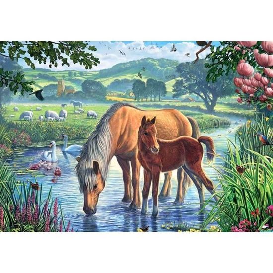 Peinture Par Numéros ART NAPI – La Tendresse D’un Cheval – Kit Complet Sur Cadre Bois