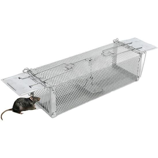 Leurres Rat-L-Trap – Lot De 3, Chrome Saignement, Imite Le Shad, Pêche