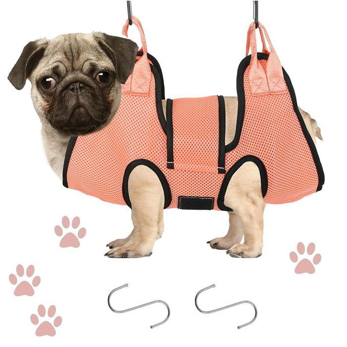 Meilleurs prix pour Hamac pour chat Hamac de toilettage pour animaux de compagnie pour chats chiens pour laver la coupe des ongles Harnais de toilet