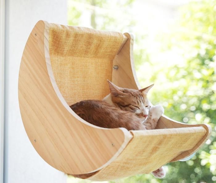 Meilleurs prix pour ECELEN-Hamac mural pour Chat en Bois Naturel–Perchoir suspendu pour chats et petits chiens Idéal pour Fenêtre ou Mu
