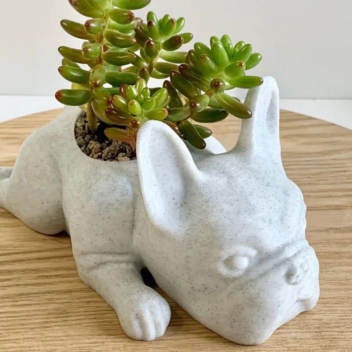 Pot De Fleurs En Résine Forme Crâne - Pour Succulentes, Cactus Ou Décoration - Taille 15 X 22 Cm