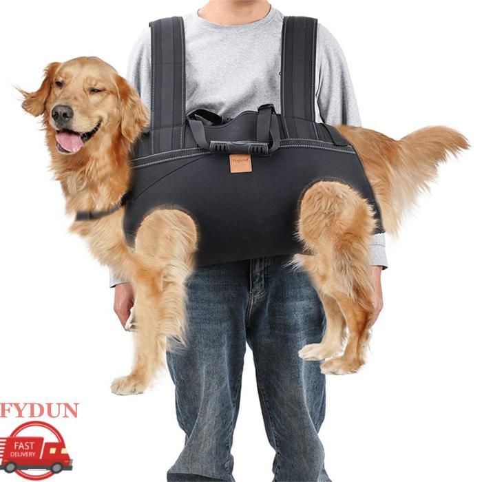 FYDUN Sac de transport pour chien de grande taille Sac à dos de transport pour grand chien écharpe animalerie soin Noir Noir XL