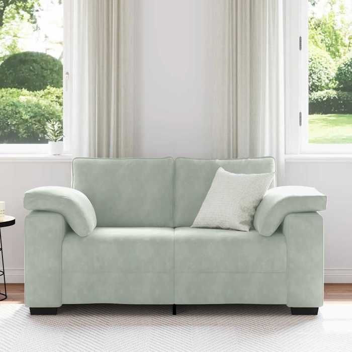 （Gris）Siège de Salon - Canapé causeuse gris clair 160x77x82 cm velours - Sofa-canapé hfs88774